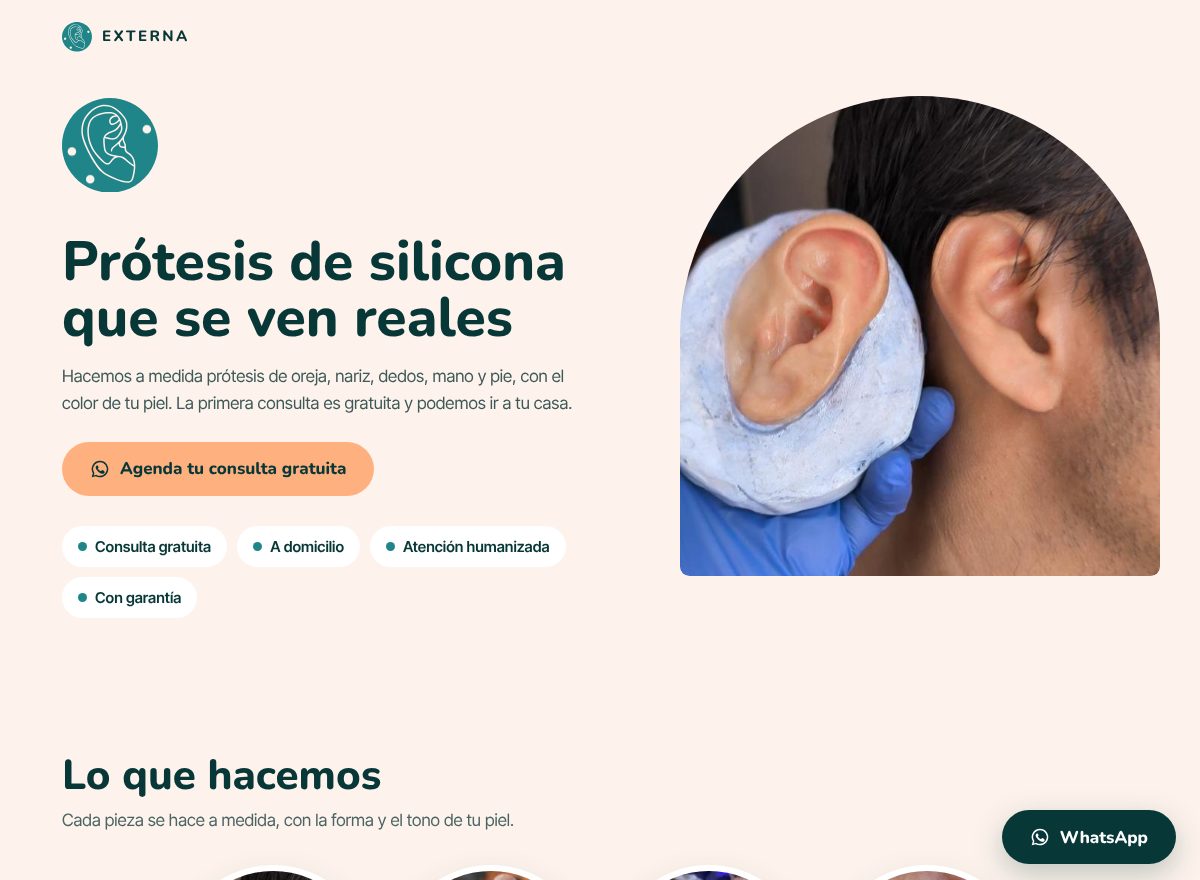 Portada de la web de EXTERNA